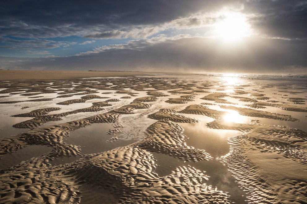 Das Wattenmeer ist ein besonderes Highlight, das man auch bei einem Urlaub auf Norderney erleben kann