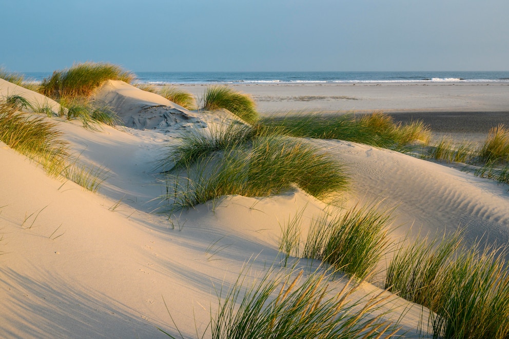 Sanddünen auf Spiekeroog