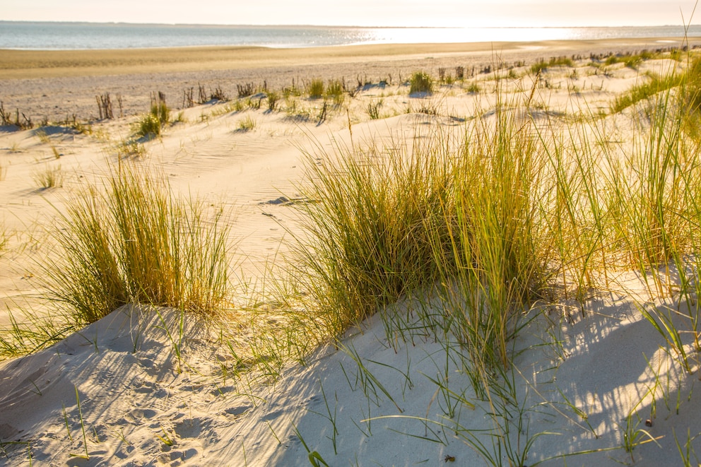 Insel Föhr