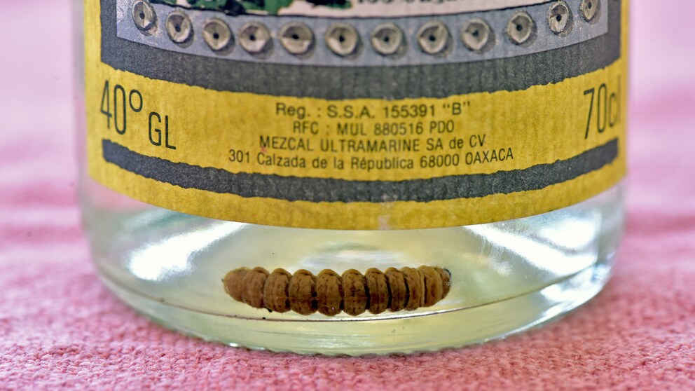 Mezcal Wurm