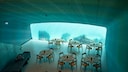 Under Norwegen