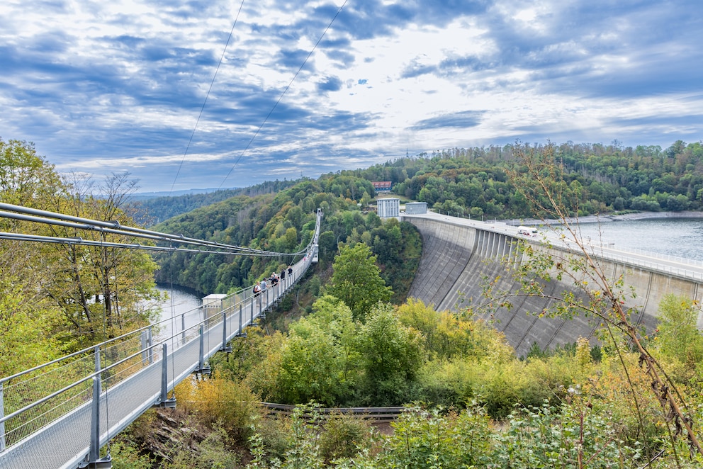 Blick auf die Hängebrücke an der Rappbodetalsperre