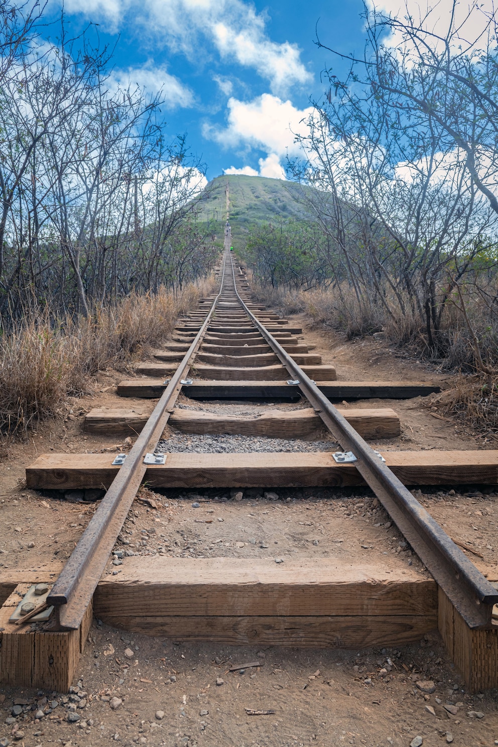 Der „Koko Crater Trail“ ist einer der bekanntesten Hikes auf der Insel – und definitiv fordernd