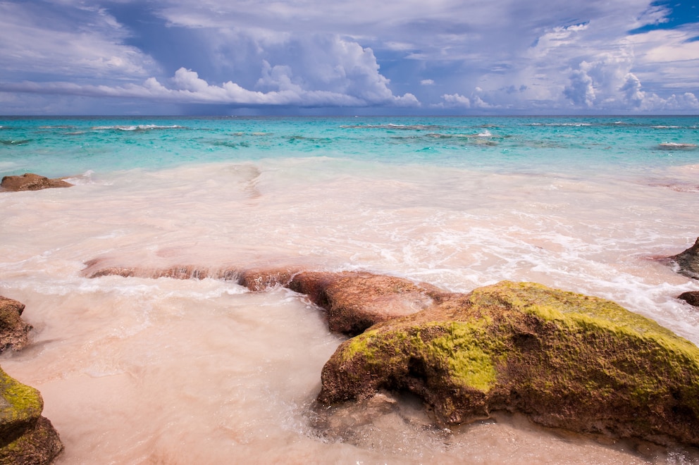 Pink-weiser Strand mit dem Meer im Hintergrund