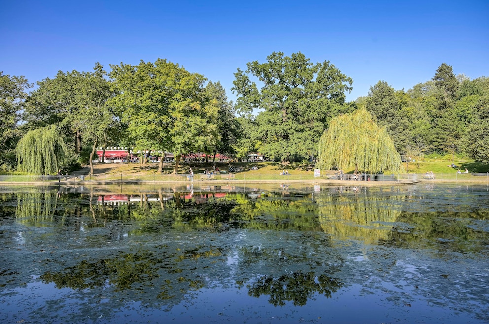 Großer Teich, Volkspark Friedrichshain, Friedrichshain