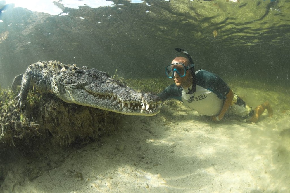 Christian Kemper with crocodile