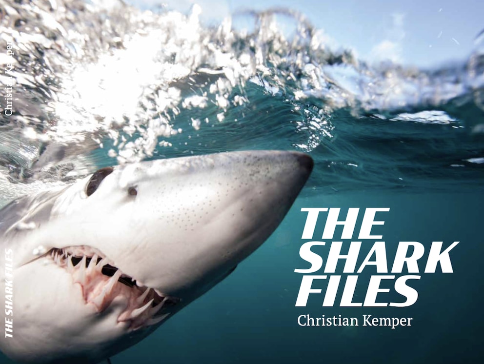 Book cover The Shark Files