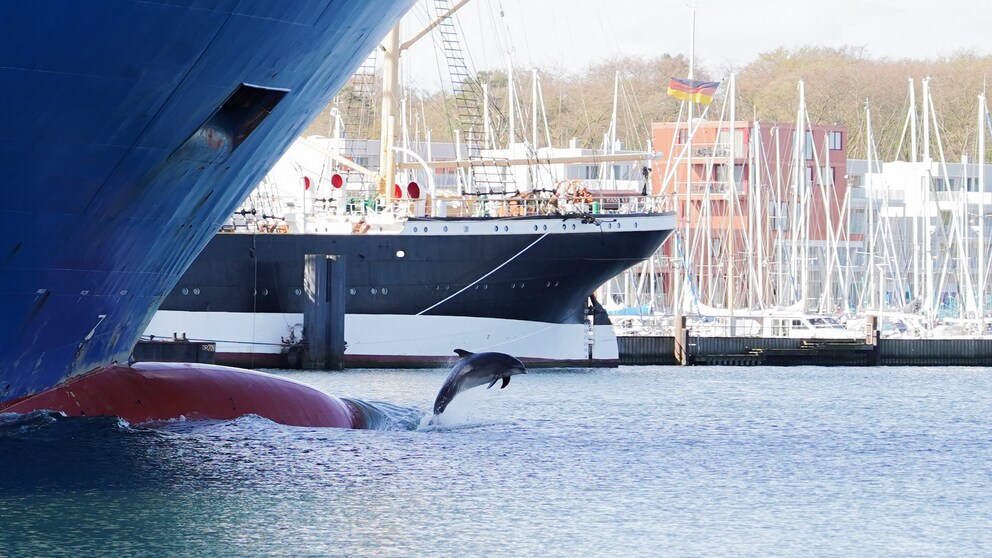 Delfin „Delle“