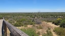 Nationalpark Doñana Spanien