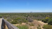 Nationalpark Doñana Spanien