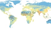 Die meisten Menschen leben in der sogenannten „menschlichen Klimazone“ – die Weltkarte zeigt, welche Orte sich aufgrund des Klimawandels und der extremen Temperaturen außerhalb dieser für Menschen geeigneten Zone befinden könnten