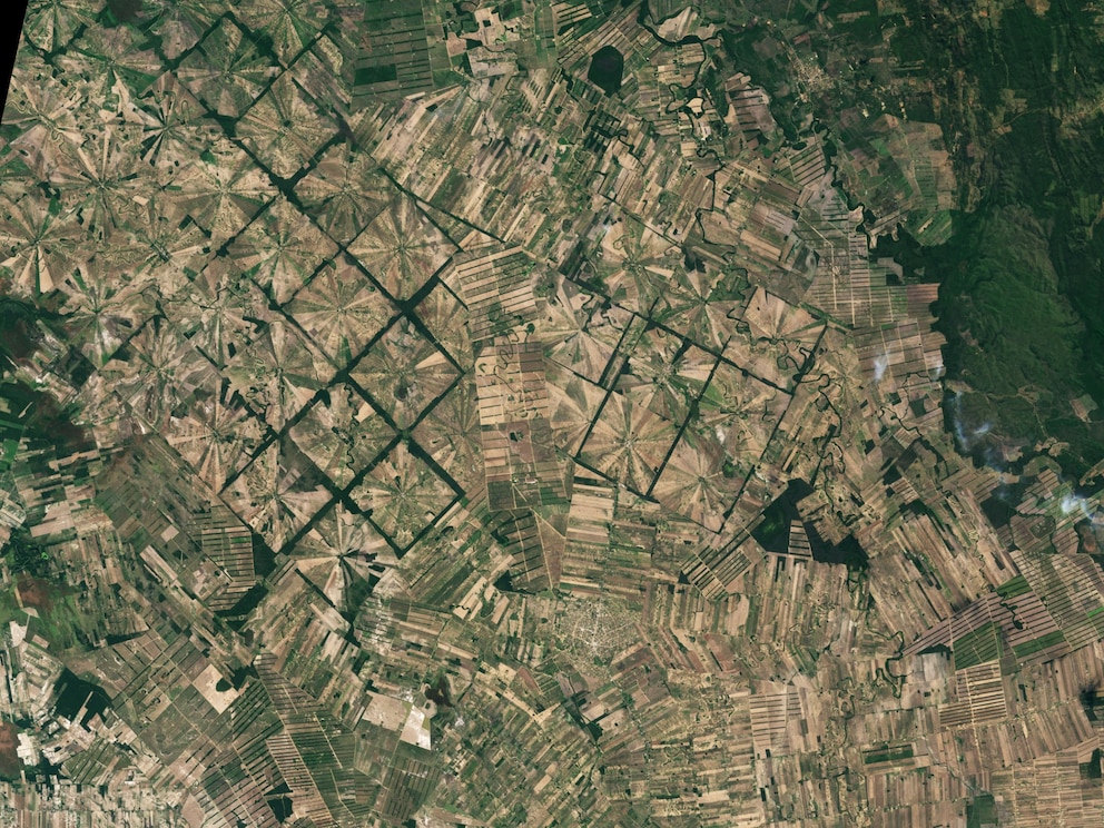 Nicht einmal 30 Jahre später ist von dem Wald wenig übrig geblieben. Heute befinden sich hier hauptsächlich Felder. Das Satelliten-Foto stammt aus August 2022.