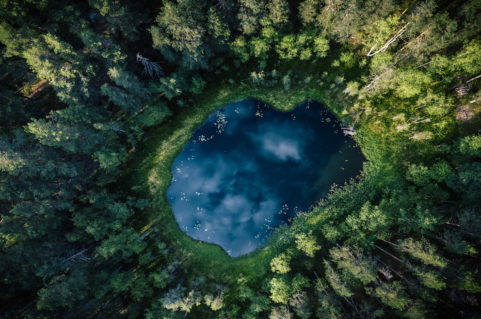 Mitten im Wald bei Savonlinna in Finnland liegt dieser kleine naturgemachte Pool ganz still und dunkel