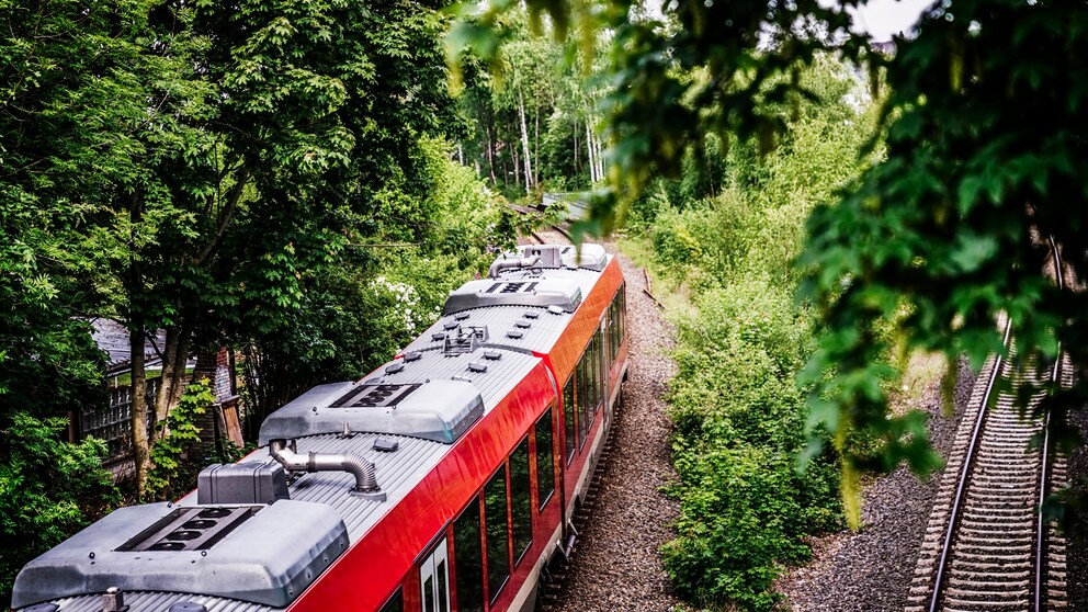 Ab in den Urlaub: Mit etwas Planung und viel Zeit kommen Reisende auch mit Regionalbahnen quer durchs Land an ihr Ziel