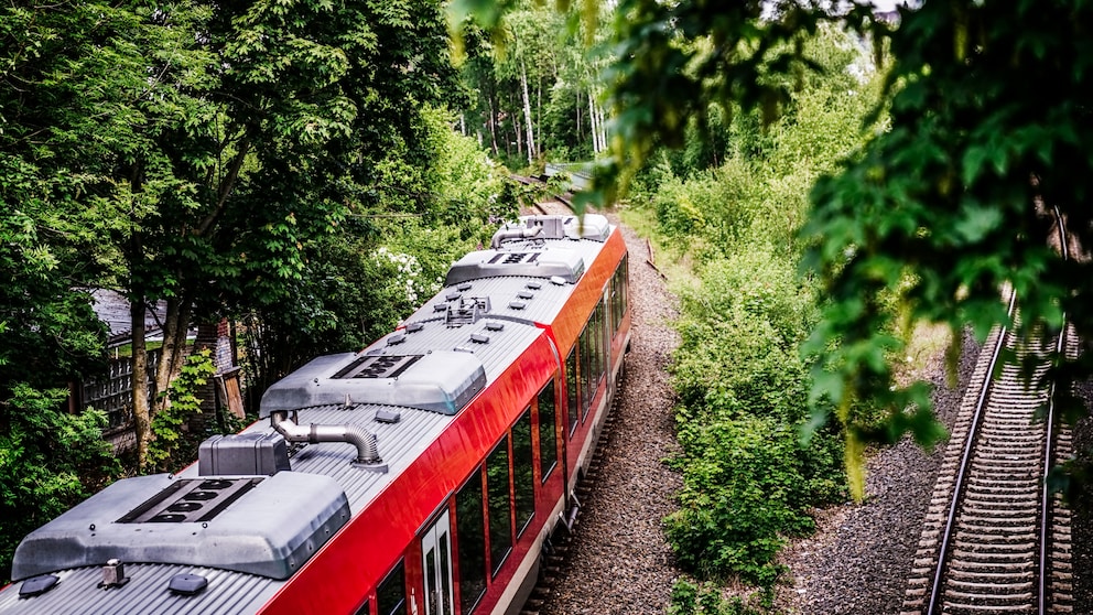 Ab in den Urlaub: Mit etwas Planung und viel Zeit kommen Reisende auch mit Regionalbahnen quer durchs Land an ihr Ziel