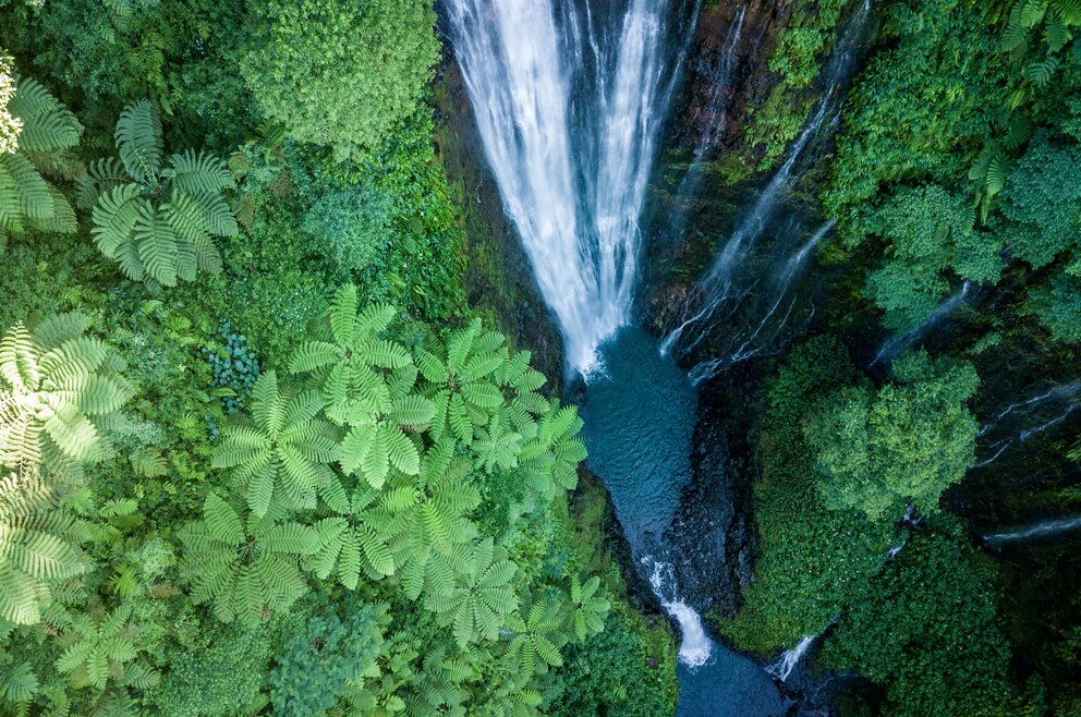 Naturpools 