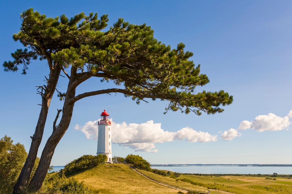 Leuchtturm auf Hiddensee