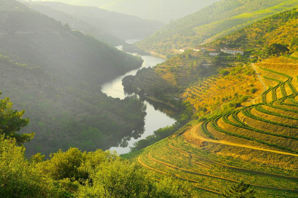 6. Wandern und Wein trinken im Douro-Tal