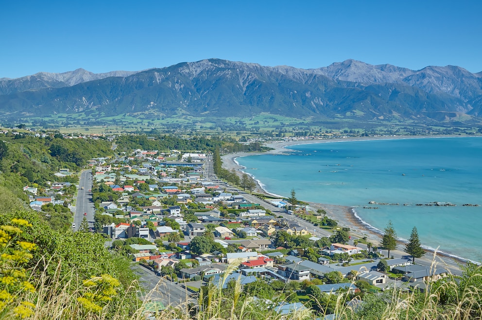 10. Kaikōura ist Ausgangsort vieler Wal-Beobachtungen an der Ostküste der Südinsel