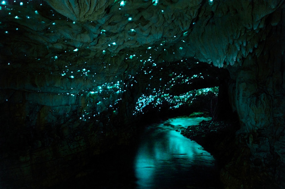 5. Waitomu Glowworm Caves – Glühwürmchen-Höhle auf der Nordinsel