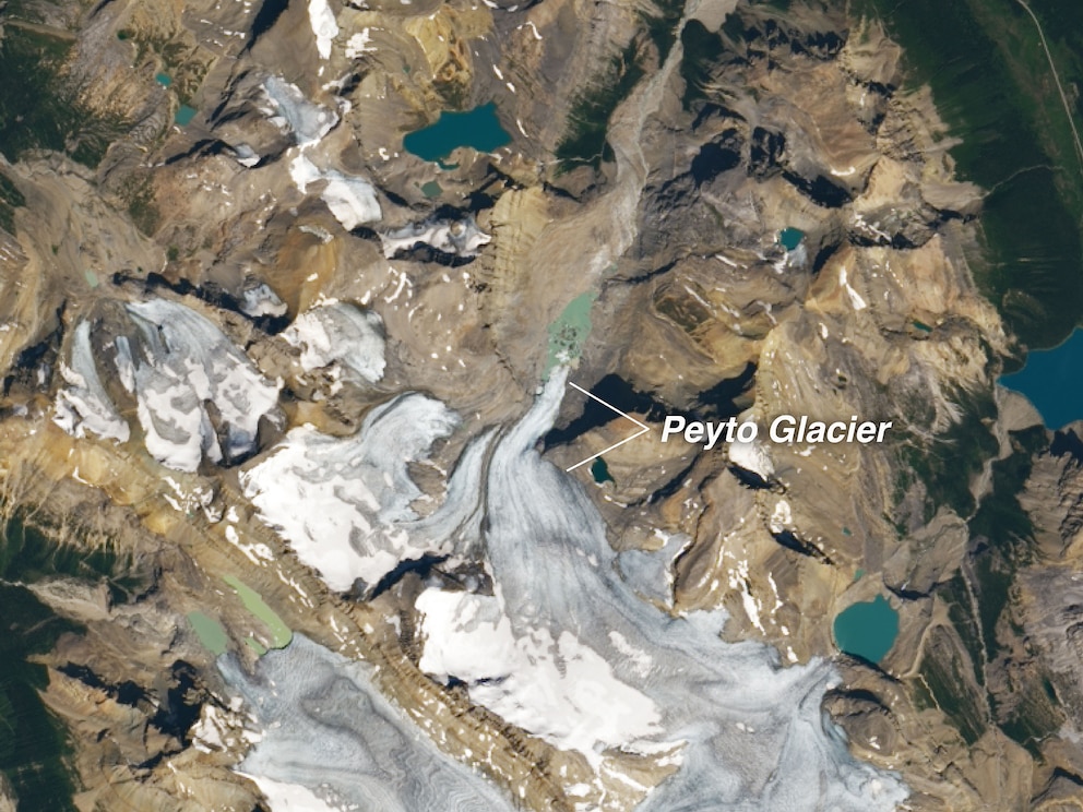 Dieses Satelliten-Foto zeigt den enormen Eisverlust des Peyto-Gletschers und den umliegenden Gletschern in den letzten 22 Jahren. Beide Bilder wurden im August aufgenommen.