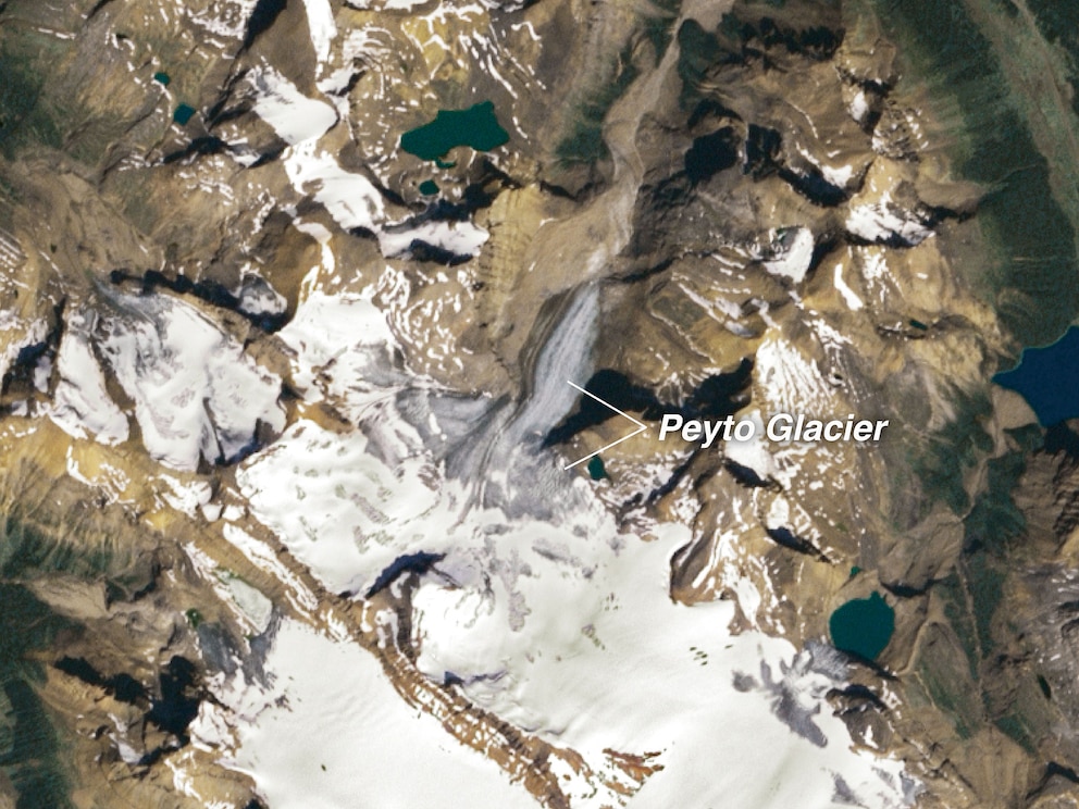 So sah die Region um den Peyto-Gletscher noch im Jahr 1999 aus