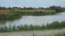 Camargue Klimawandel