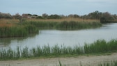 Camargue Klimawandel