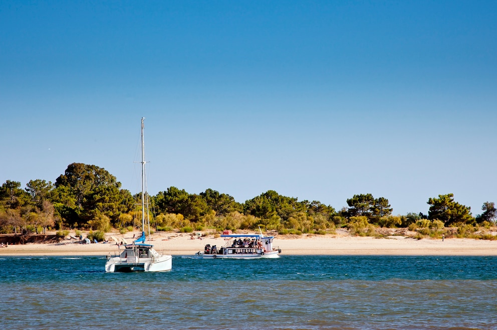 Ilha de Tavira