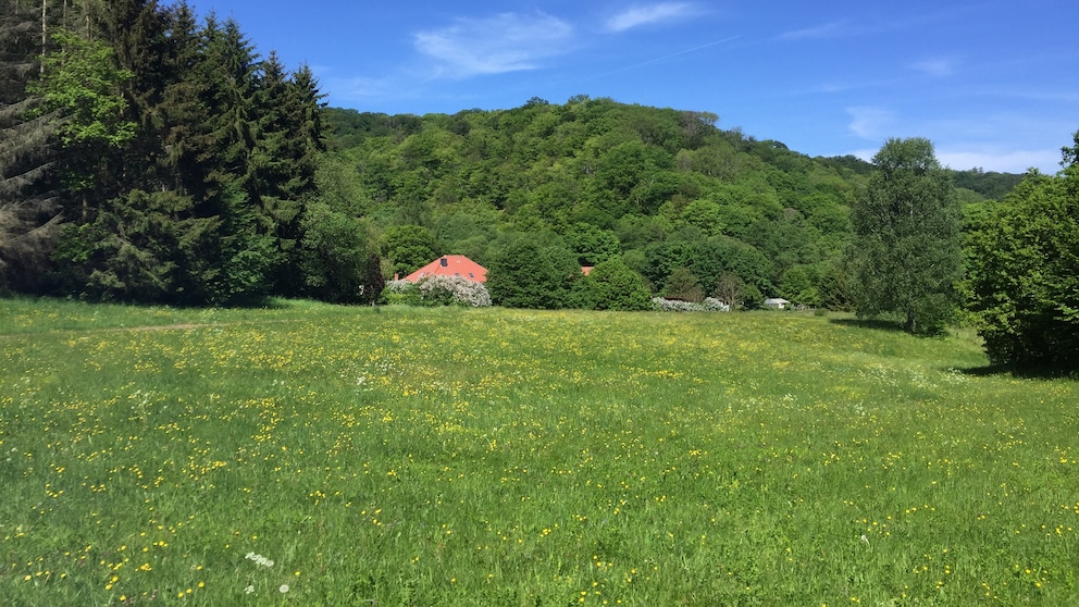 Harz wandern