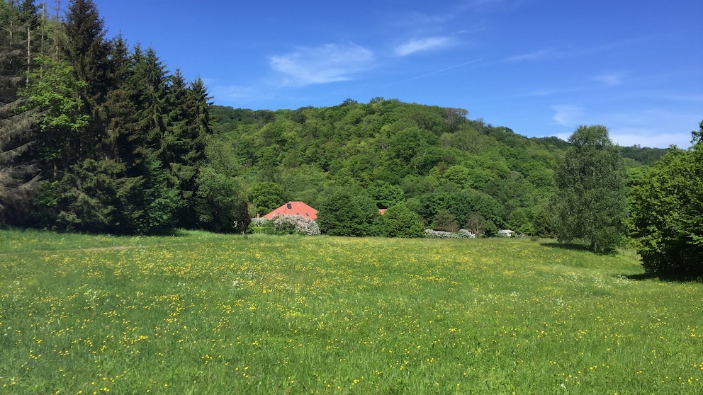 Harz wandern