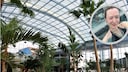 Blick in die Halle der „Palmenoase“ des Erlebnis- und Wellnessbades „Badeparadies Schwarzwald“ – unserer Redakteurin ging es im Außenbereich besonders gut