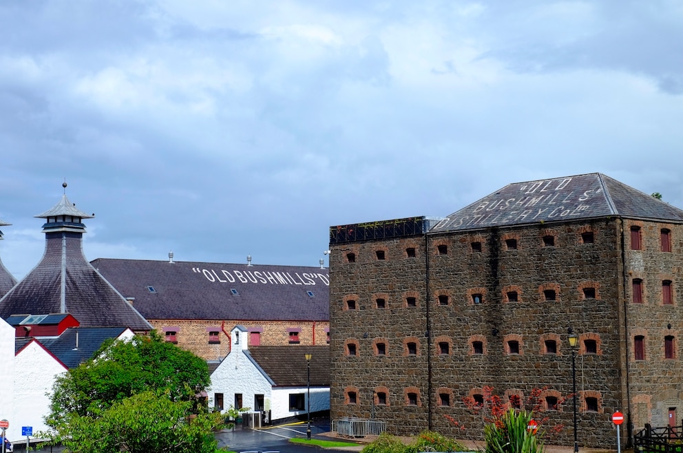 4. Die älteste Whiskey-Brennerei The Old Bushmills Distillery besuchen