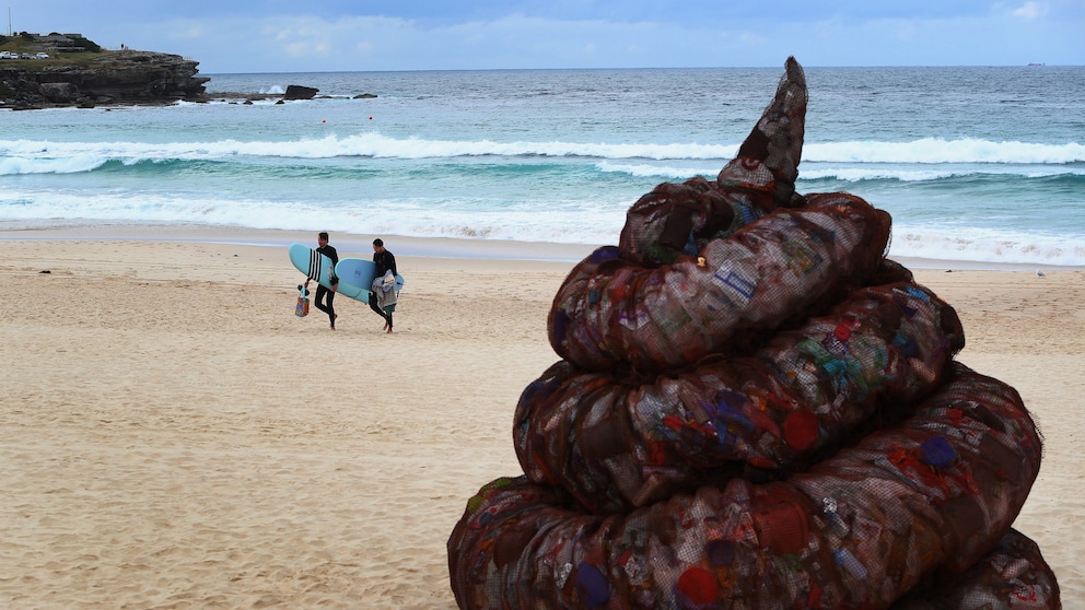 Kackhaufen Bondi Beach