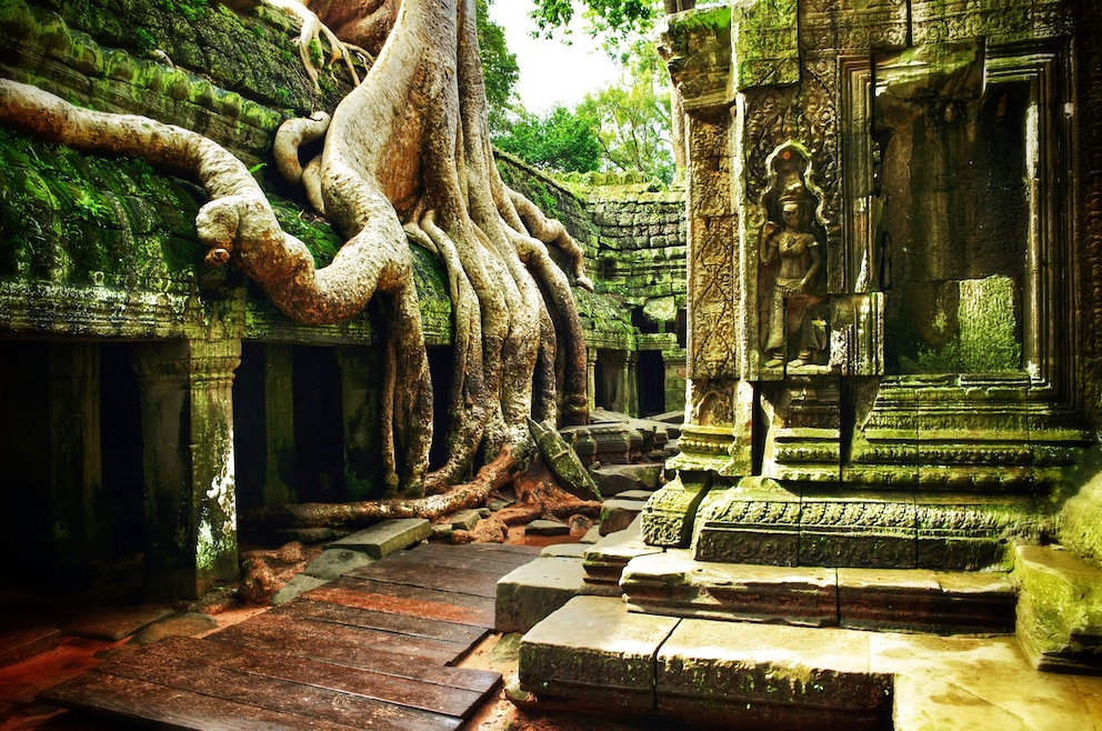 5. Ta Prohm – Tempel in Angkor