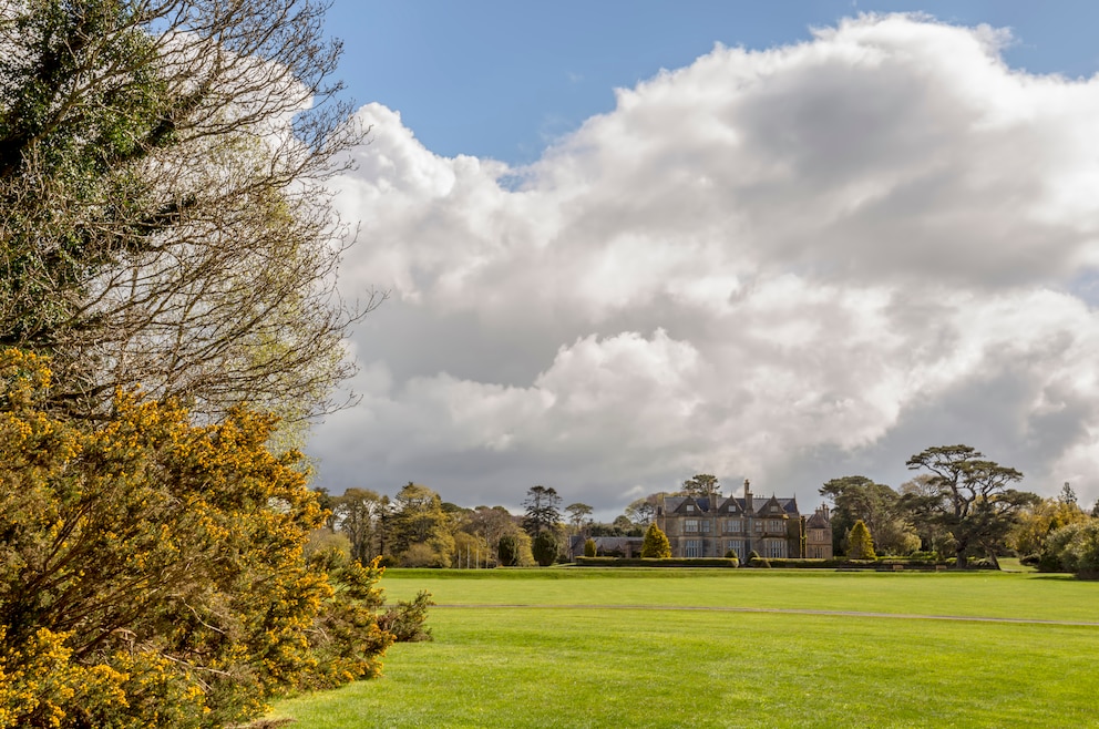 3. Killarney-Nationalpark und Muckross House &amp; Gardens – das herrschaftliche Anwesen mit hübschem Garten liegt im Killarney-Nationalpark