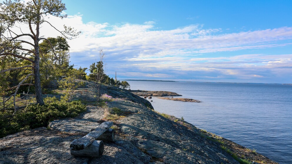 Ulko-Tammien