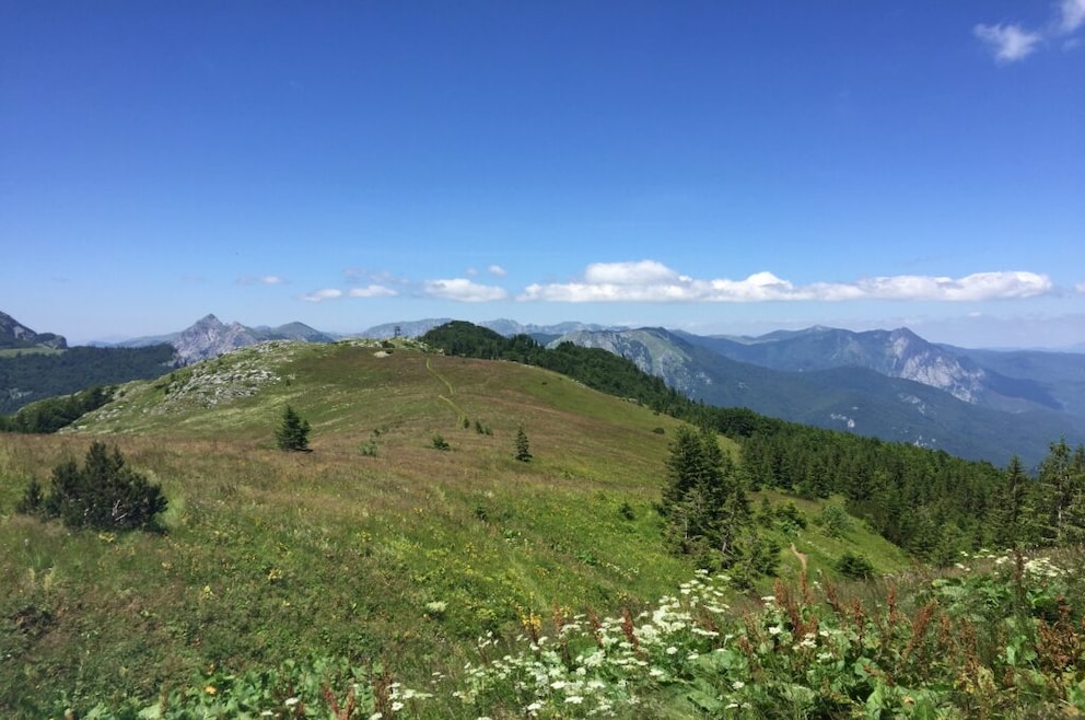 Sutjeska National Park