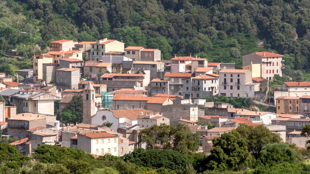Ollolai