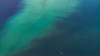 Grünfärbung im Meer