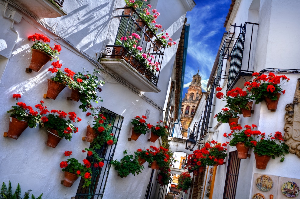 2. Andalusien entdecken mit seinen beeindruckenden Gebäuden wie der Alhambra in Granada, Giralda in Sevilla und der Mezquita-Catedral de Córdoba