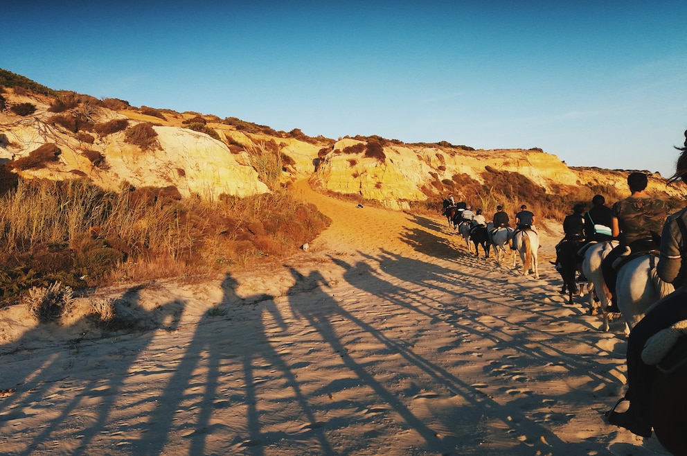 6. Auf Safari durch den Doñana-Nationalpark gehen