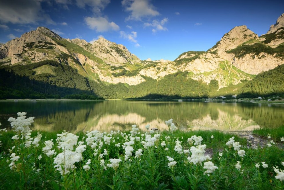 Bosnia and Herzegovina