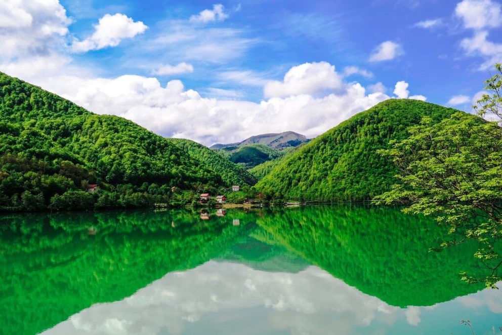 Bosnia and Herzegovina