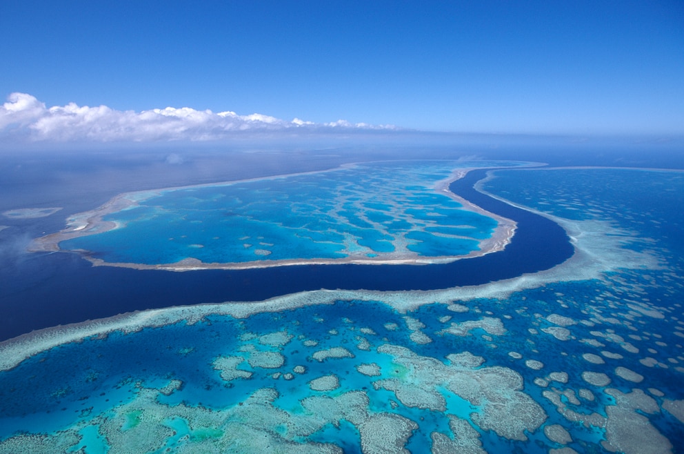 2. Great Barrier Reef – das Korallenriff vor der Küste Queenslands ist die größte, von Lebewesen geschaffene Struktur der Erde