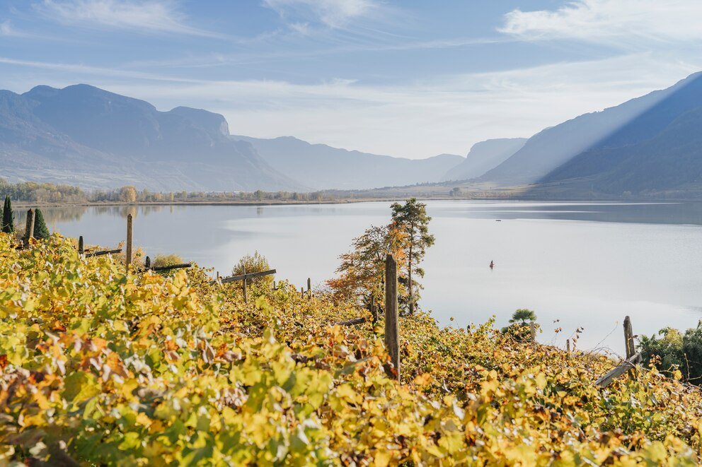 Mit leuchtenden Farben von gelb bis tiefrot präsentiert sich die Umgebung des Kalterer Sees bis in den November und schafft so ein atemberaubendes Panorama