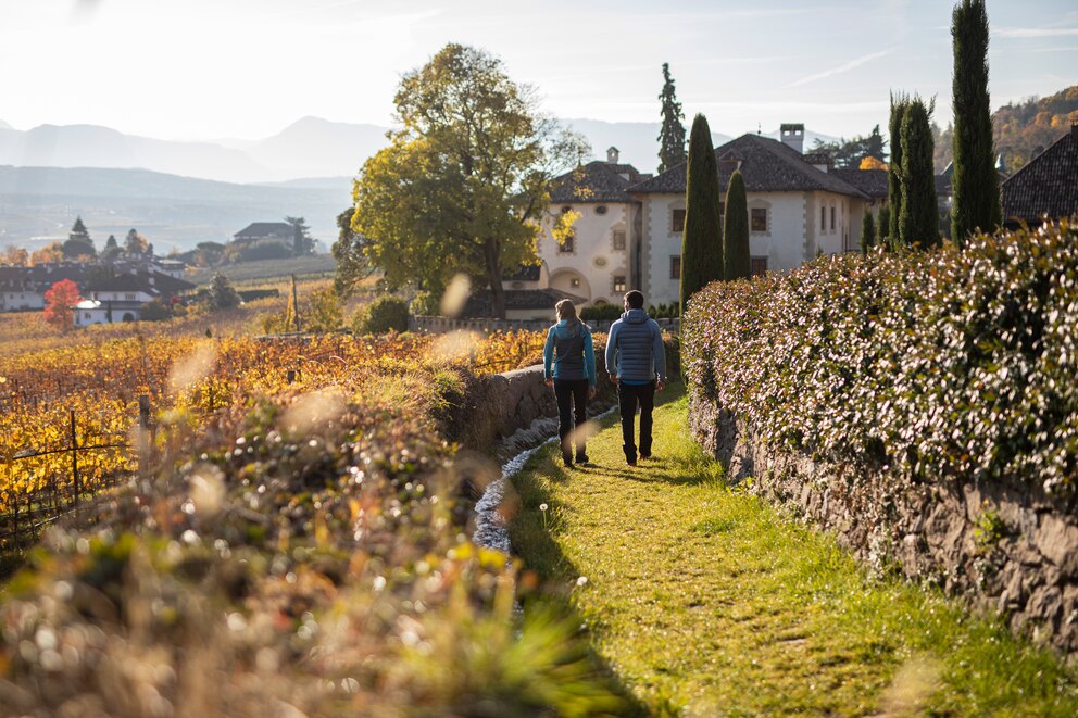 Die vielfältigen Weinlehrpfade und Weinwanderwege laden dazu ein, die Schönheit der Region zu Fuß zu entdecken