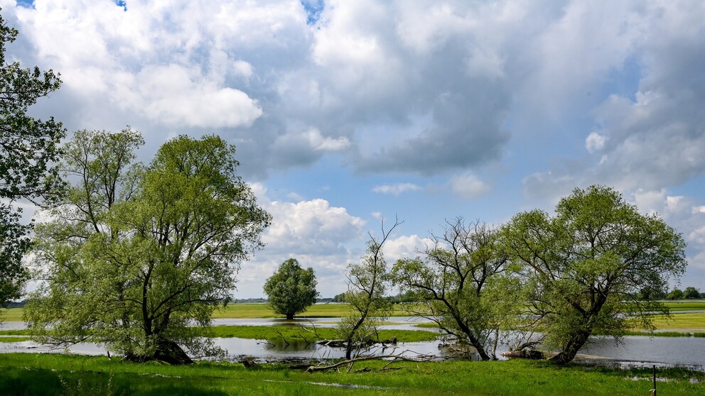 Havelradweg
