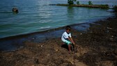 Ein Junge zerrt im Rahmen einer Reinigungskampagne am Ufer des Maracaibo-Sees an einem Stück Müll. Die Verschmutzung des Sees, eines der größten Lateinamerikas, ist nach Ansicht von Umweltschützern das Ergebnis jahrzehntelanger exzessiver Ölförderung auf seinem Grund, unzureichender Wartung und fehlender Investitionen zur Verbesserung einer bereits veralteten Infrastruktur.