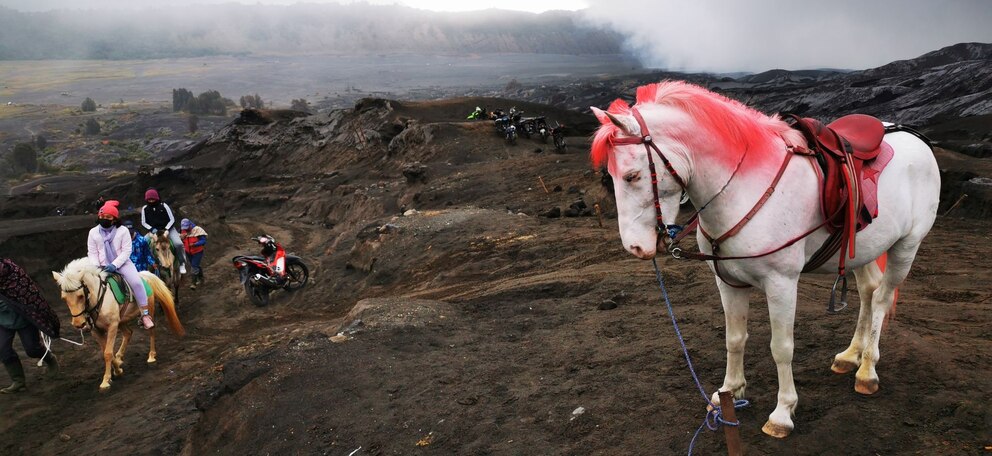 Per Pferd auf den Mount Bromo